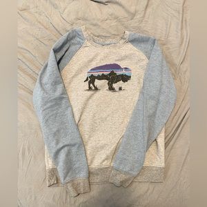 Patagonia crewneck sweater